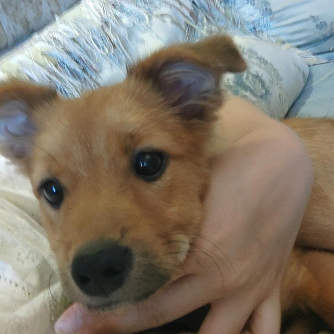 ️⌯˃ ᵕ ᵒ⌯ಣ