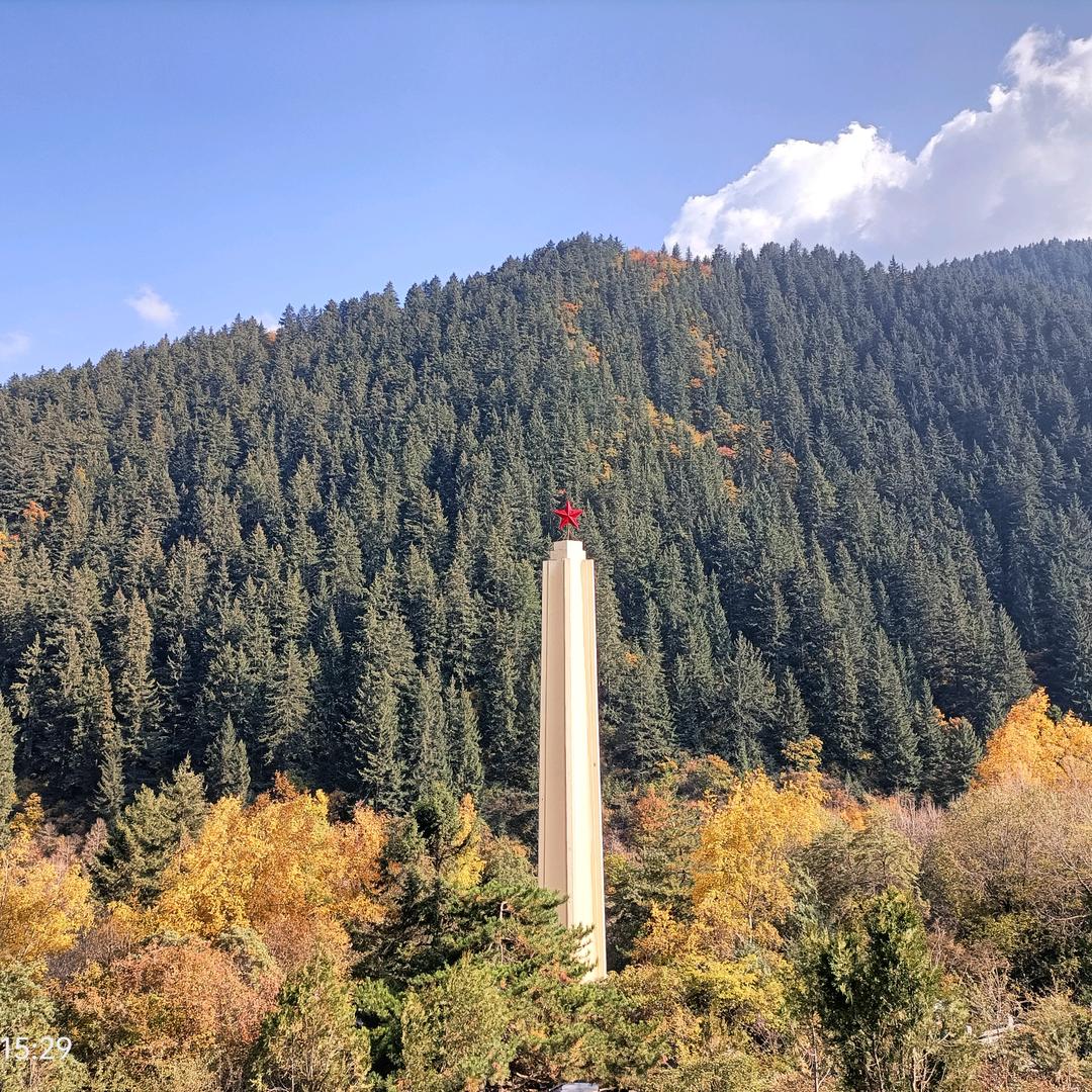 果果