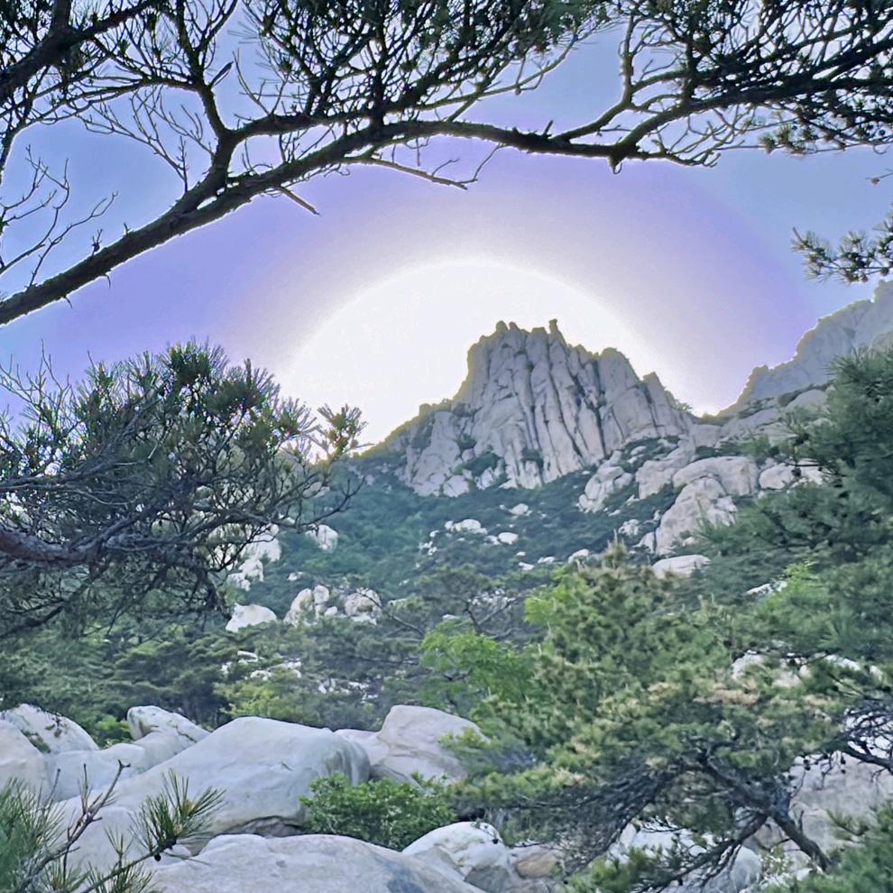 圆圆