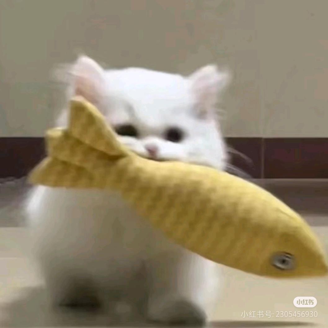 诗柔.