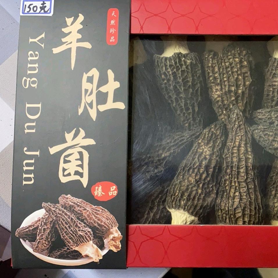 菌临天下