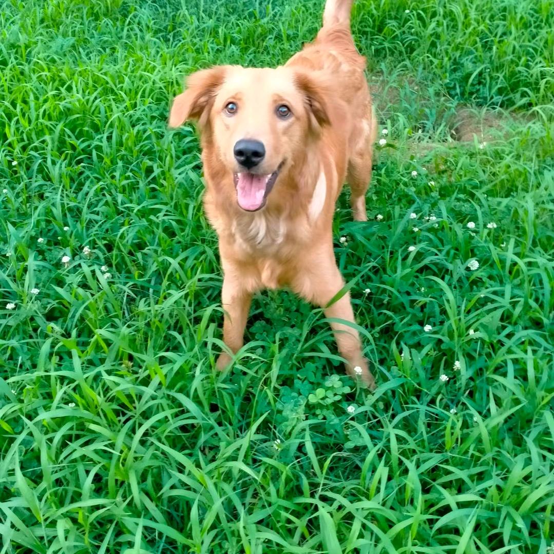 🌻🌺肇东🌺🌻《妞妞姐》《柒月姨》