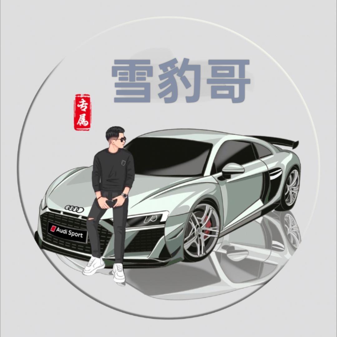 雪豹哥