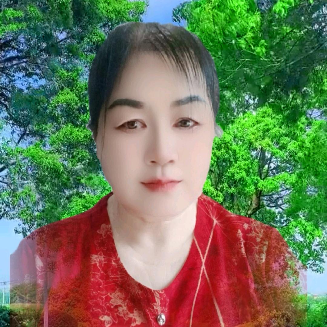 农村林姐