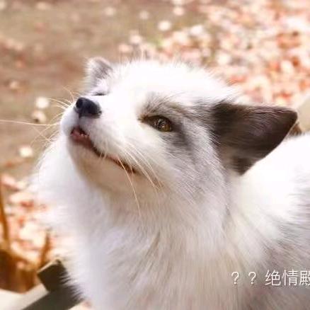 余烬♠凌云