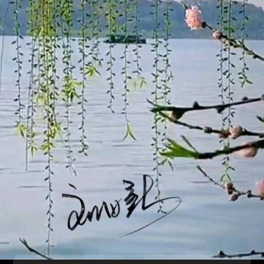 感情淡了请放盐