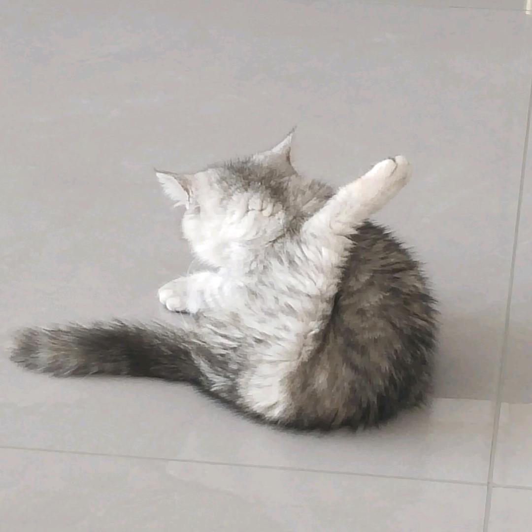 塔塔星超人