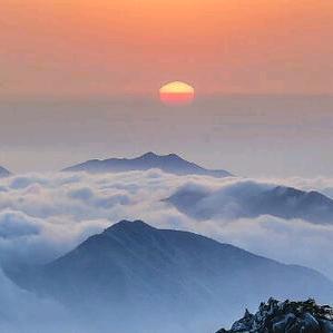 粤江南（封停）