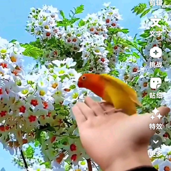 @薛……太难了