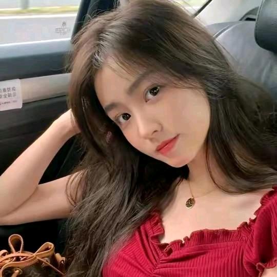 501小百科⁵¹¹