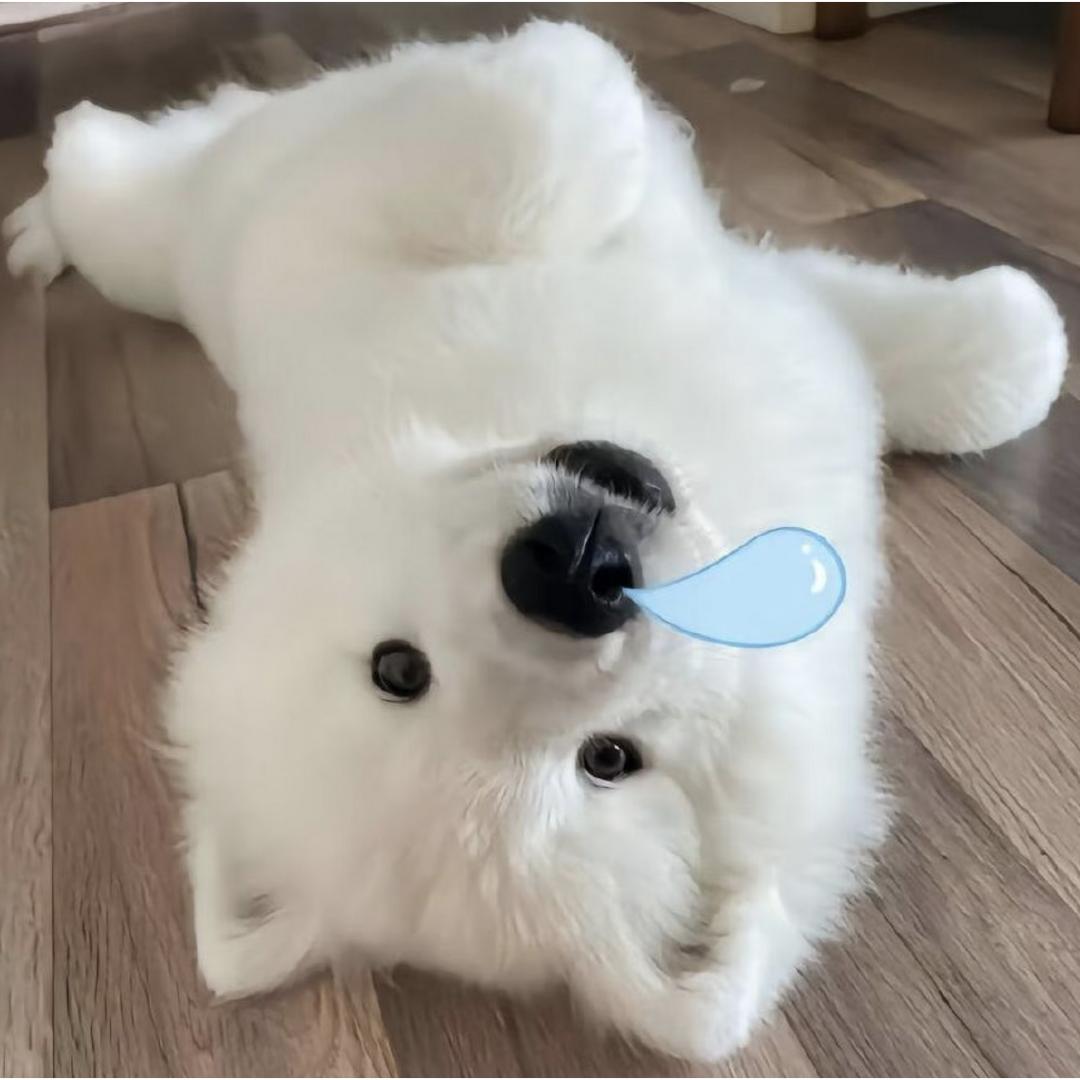 ★睡到自然醒