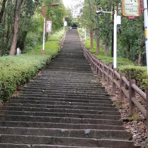 偶然.