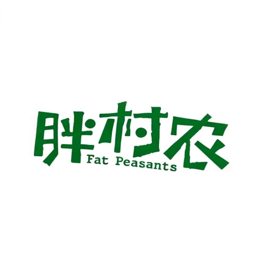 胖村农-黄芪党参豆浆粉