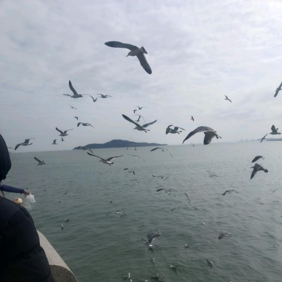 渔具优选
