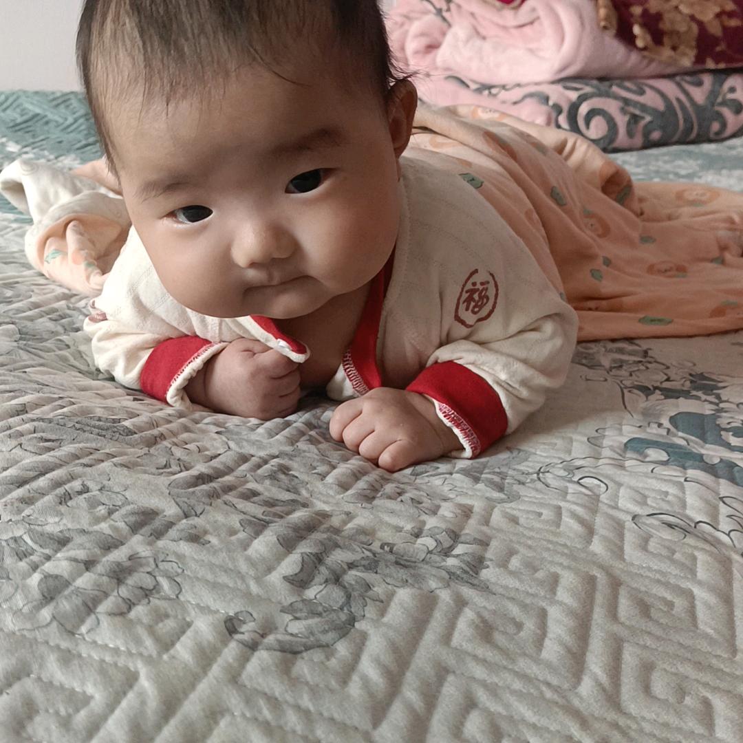 狼爱上羊