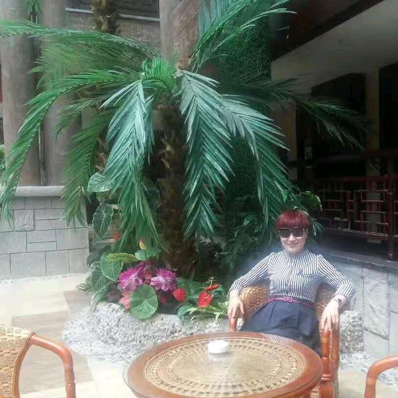 晋莉姐