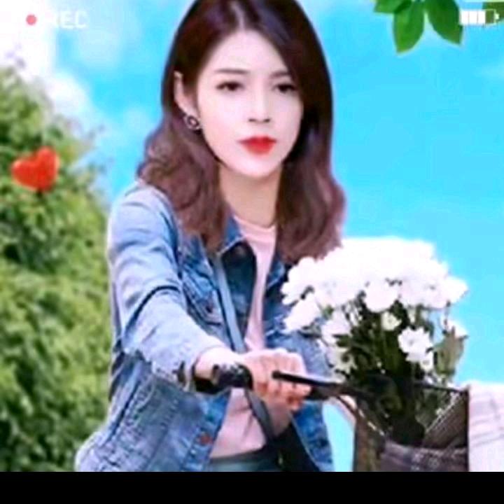 花好月圆