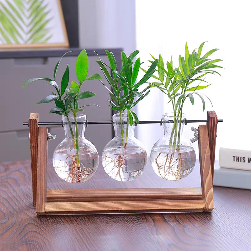植物生活甄选
