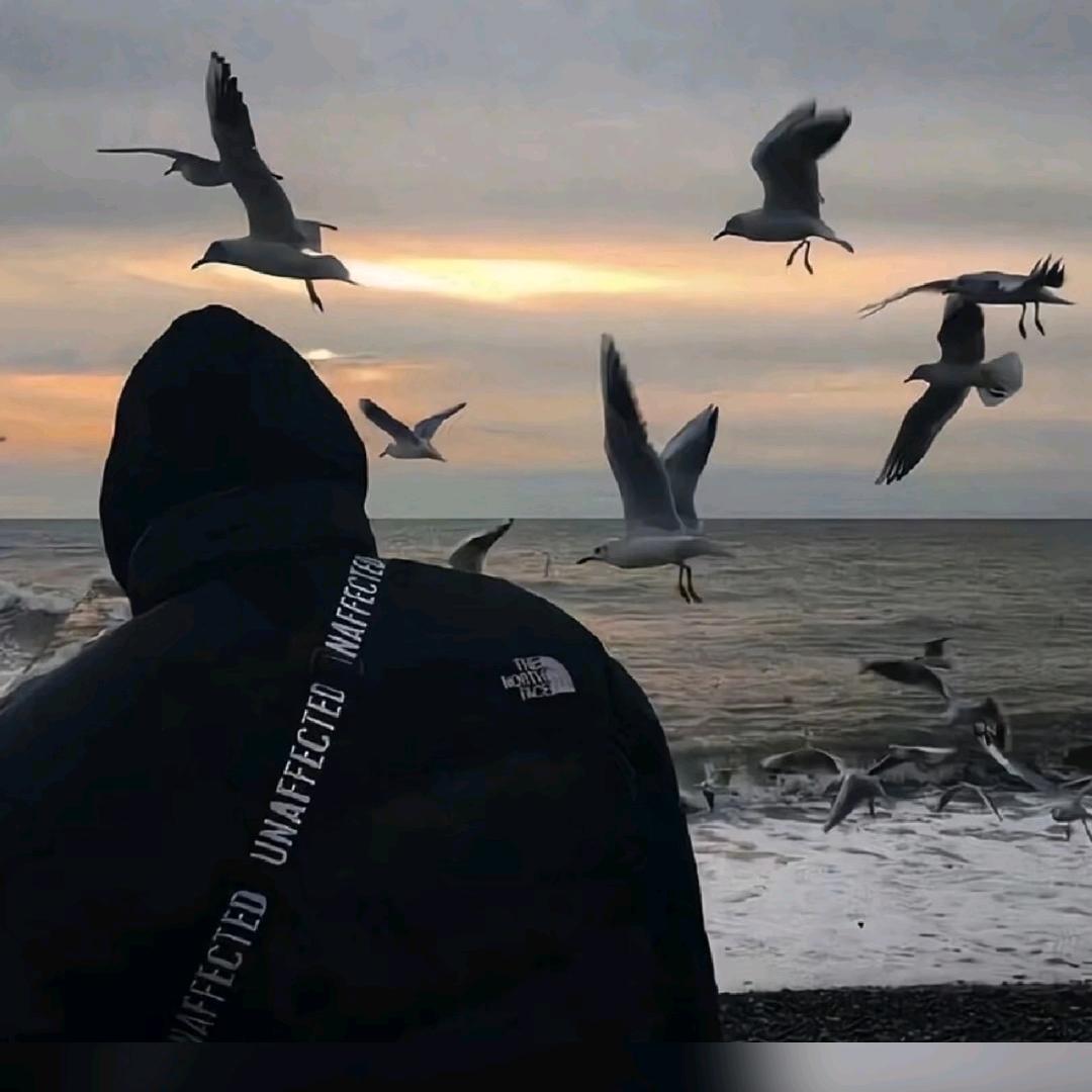 Ꭽℯ⃝落ঞᩚ幕