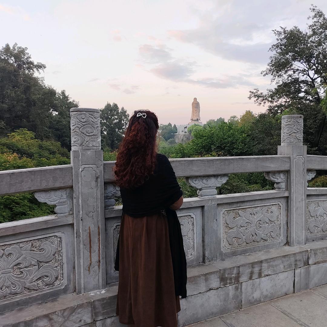 秦菊（不定时直播）
