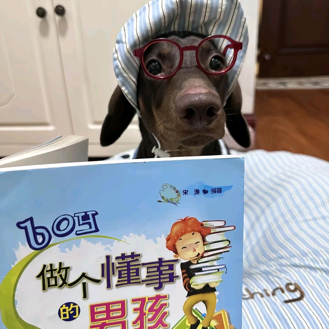 我要当幸福小狗