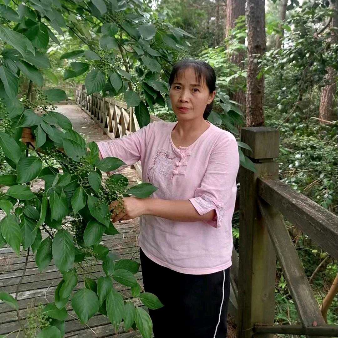 用姐2