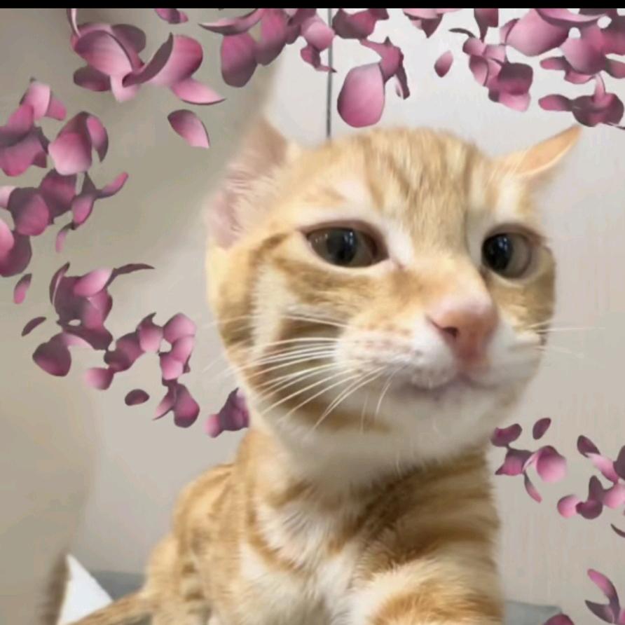 倒栽葱