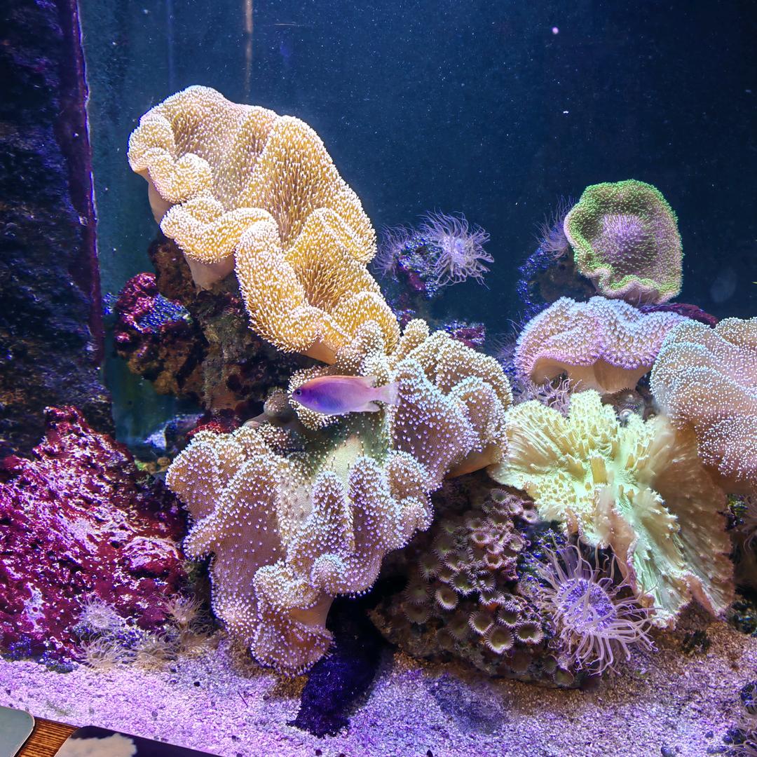 一切顺其自然