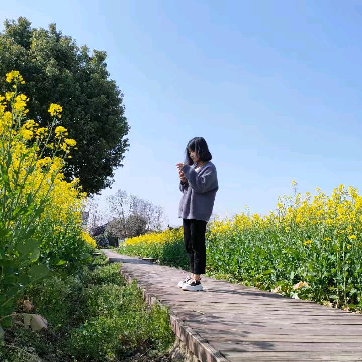 甲乙丙丁