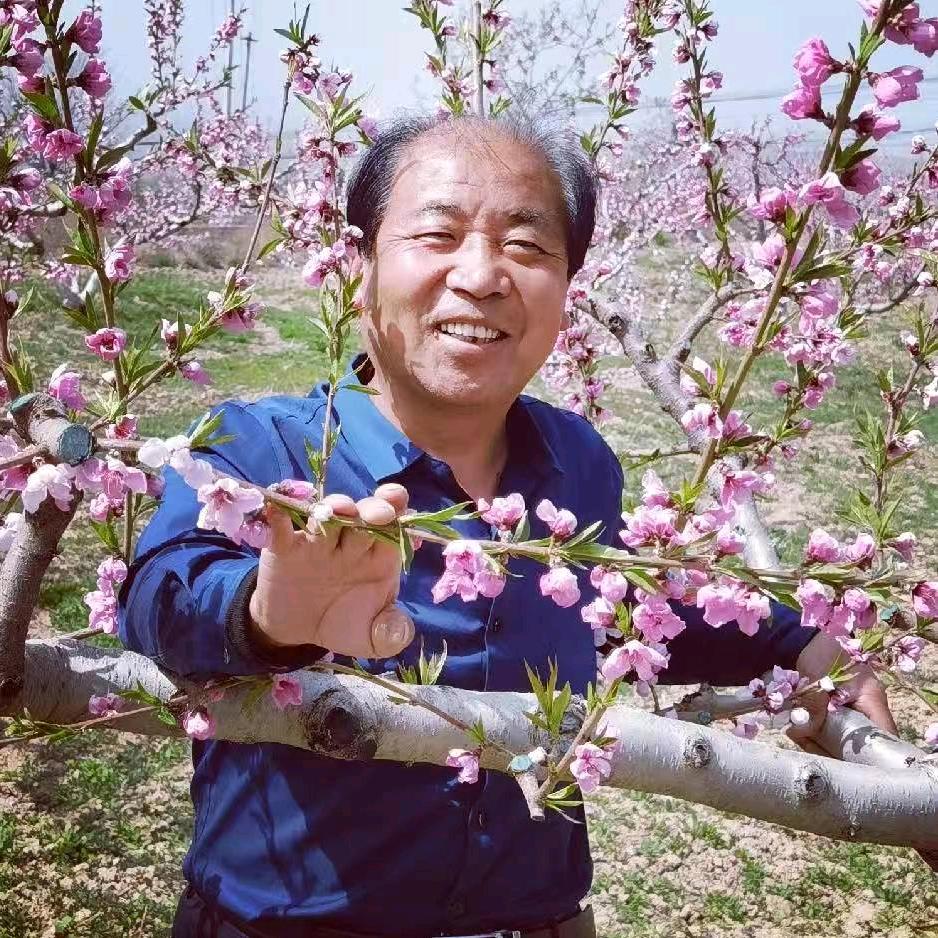 桃王颜存宁（孟家原）孟姜原