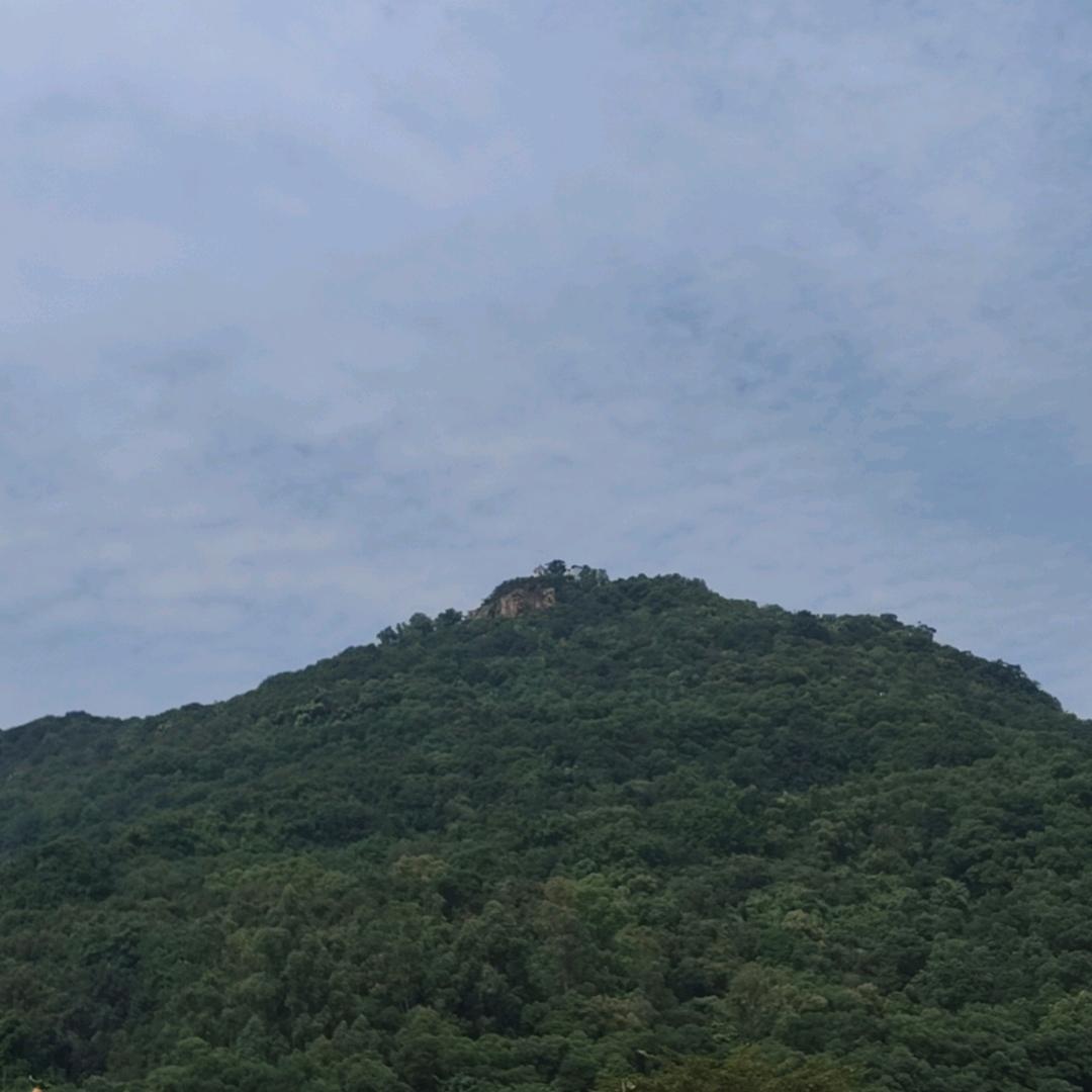 幸福家庭。