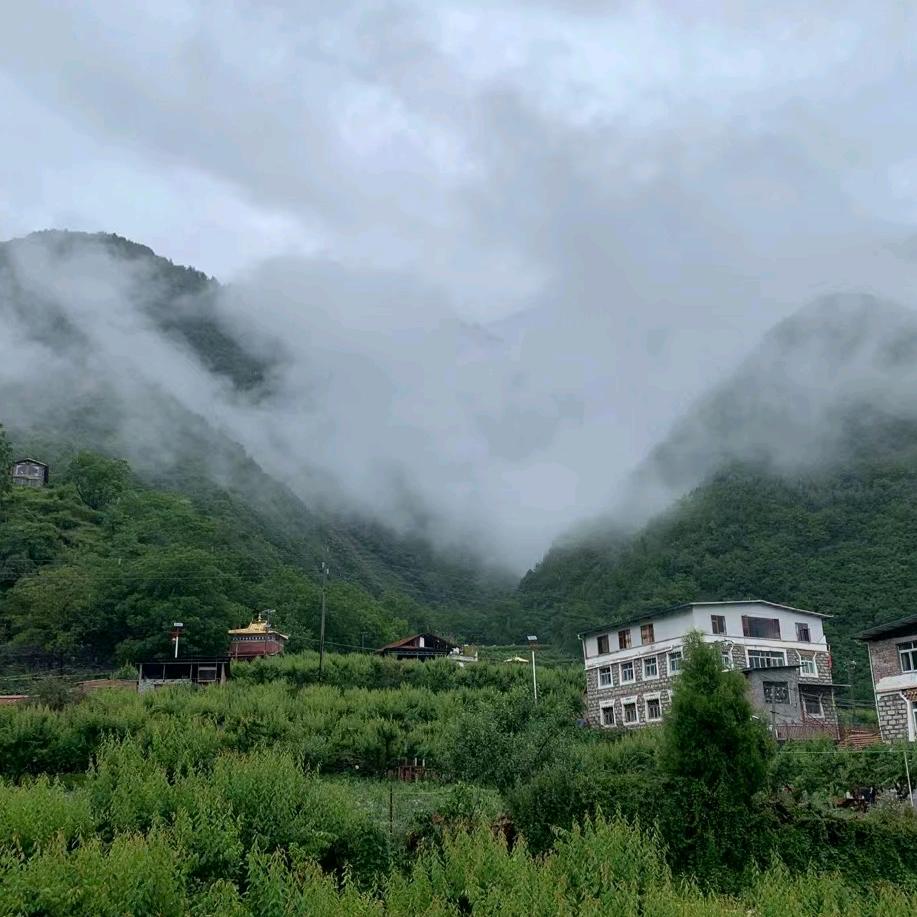 浅鱼好物