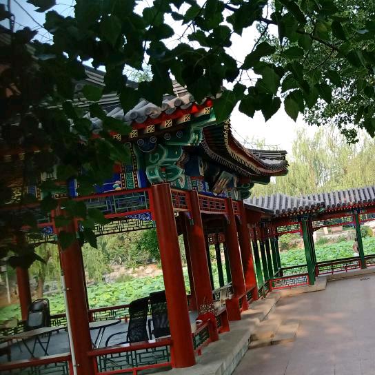 梦中情缘