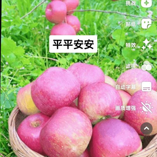 🌺代姐姐