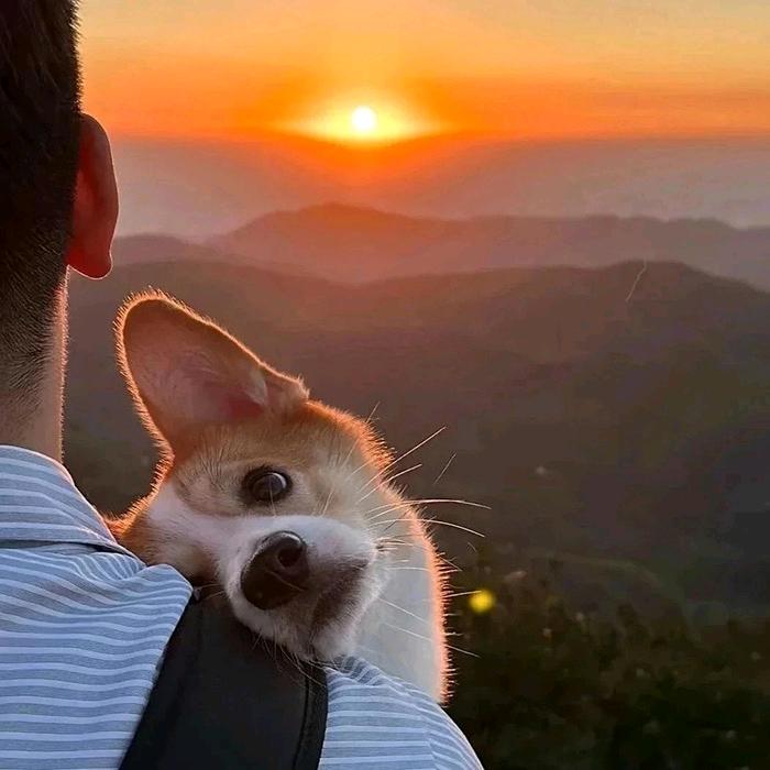梦动温州华域机械范范直播号
