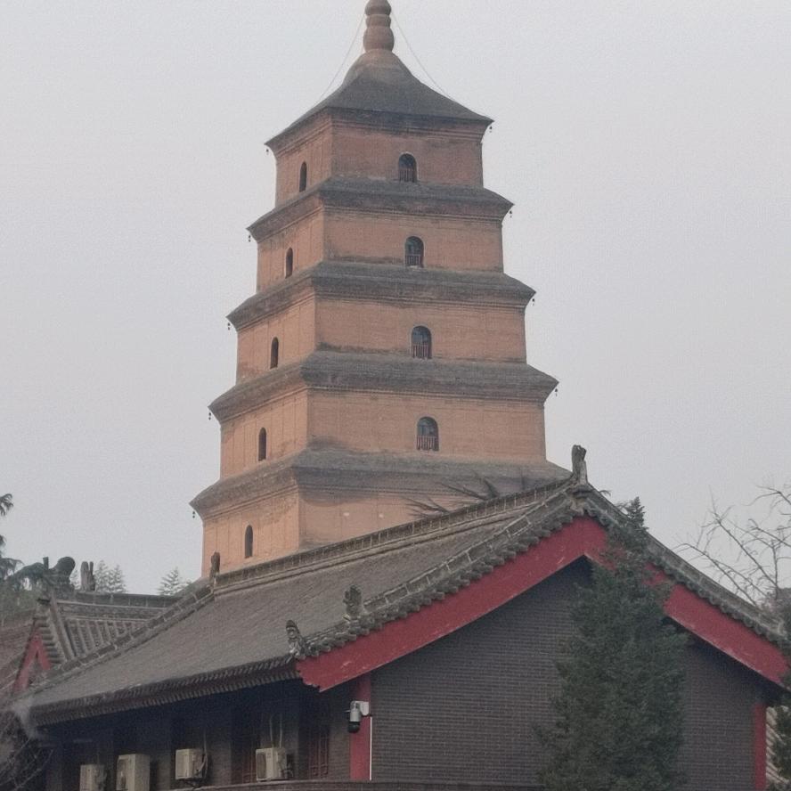 张维斌