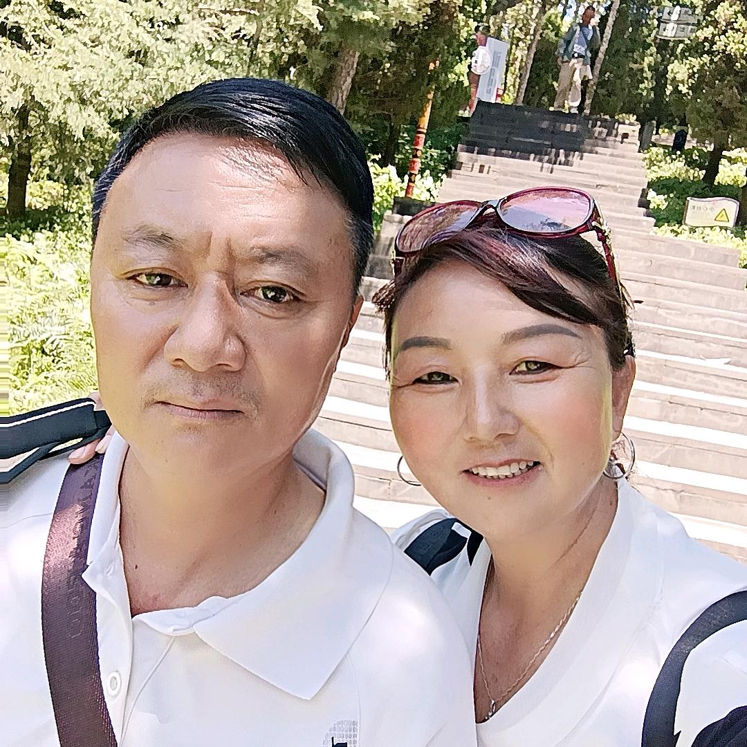 翠苹鸟