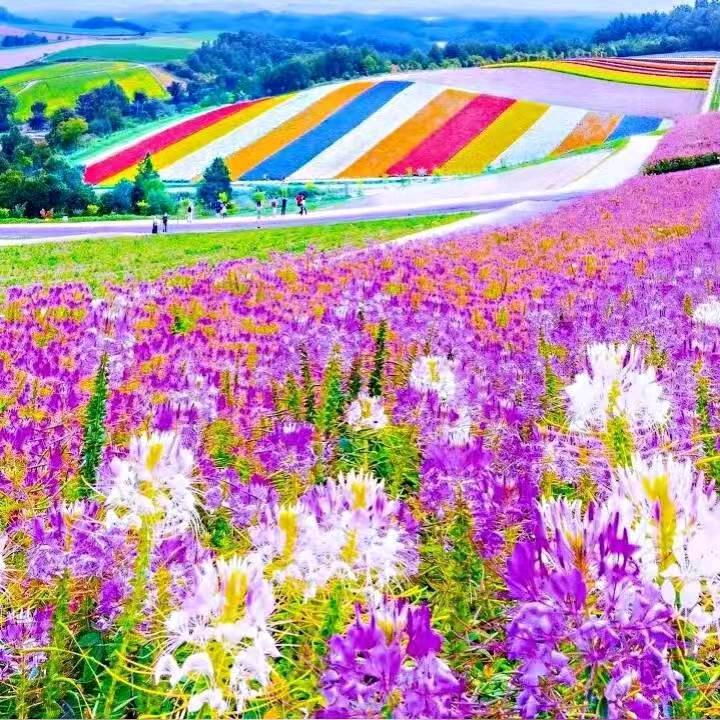 ꧔ꦿ酒易醉℘🧡ᝰ易᭄ᩚ꯭ᩚ碎💞