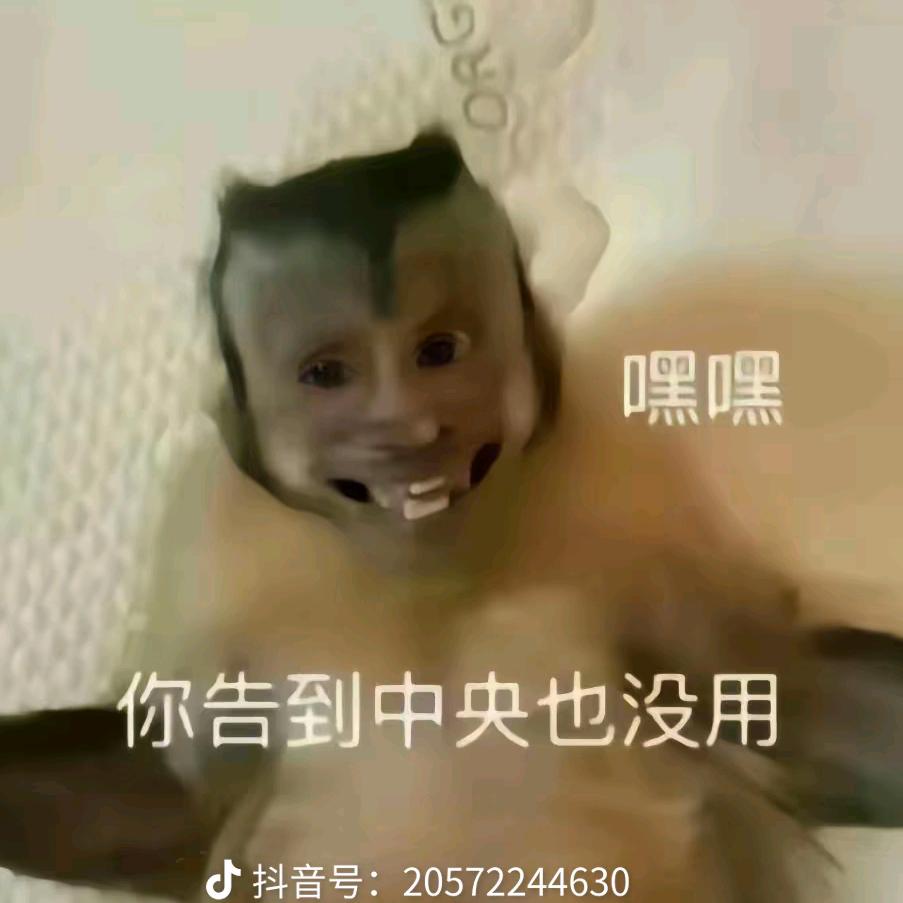 告我也没用