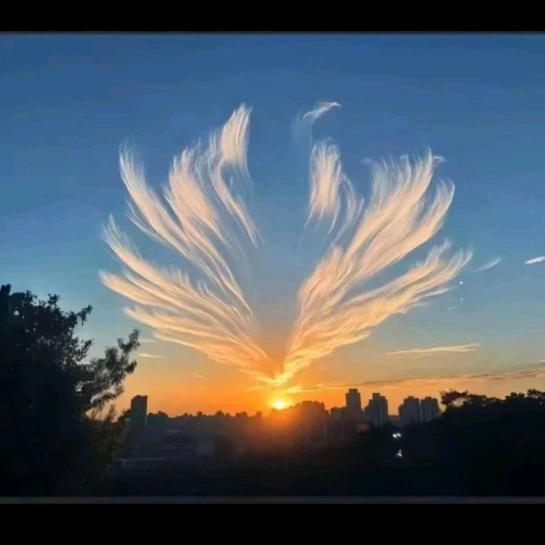 蒜了蒜了•蒜苔