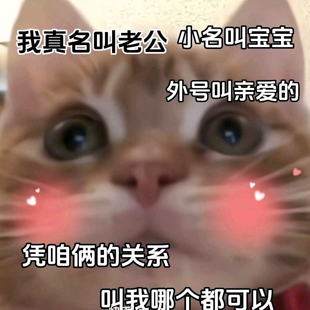小不点