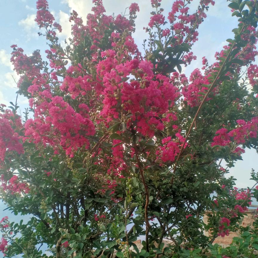 未来的以后