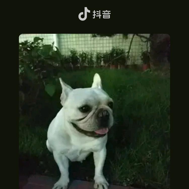 平安的我