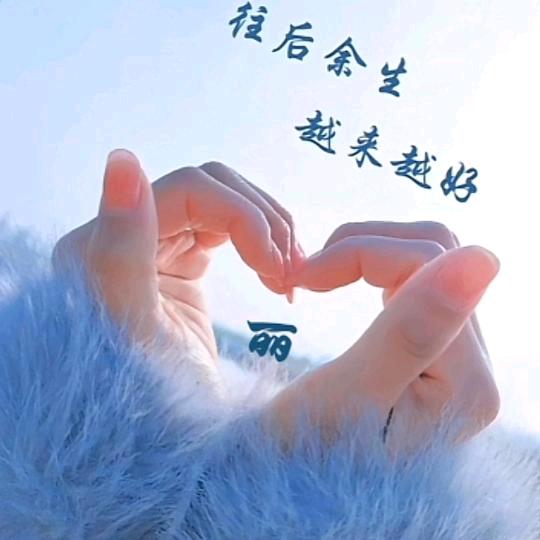 深情不及久伴