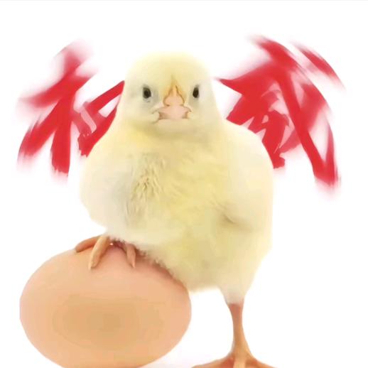 是男神呀!