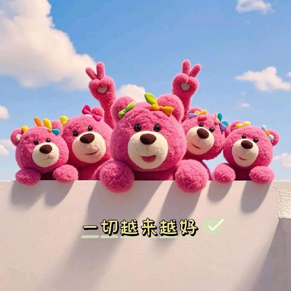 樱桃小丸子🍒.