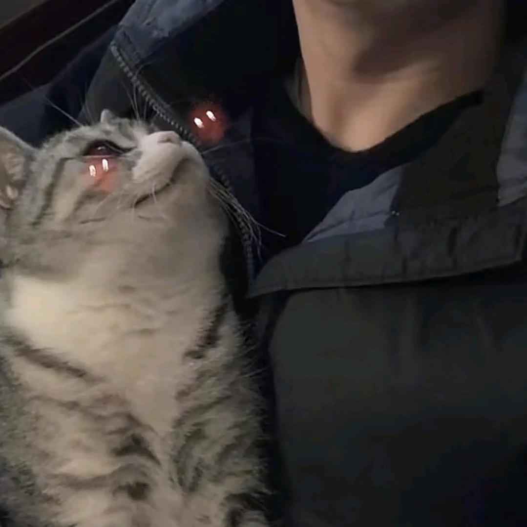 画个圈圈诅咒你