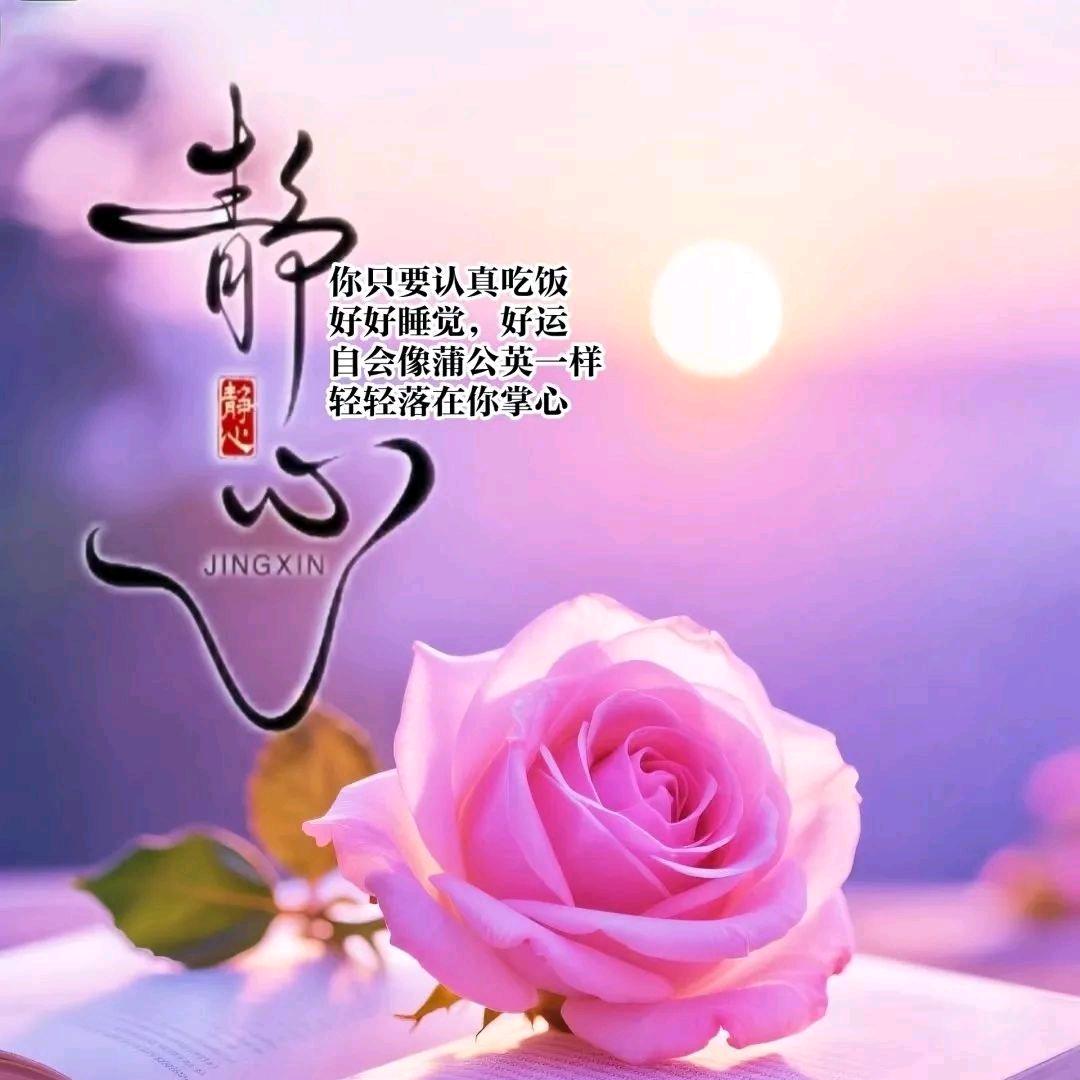 🔥如日中天🔥