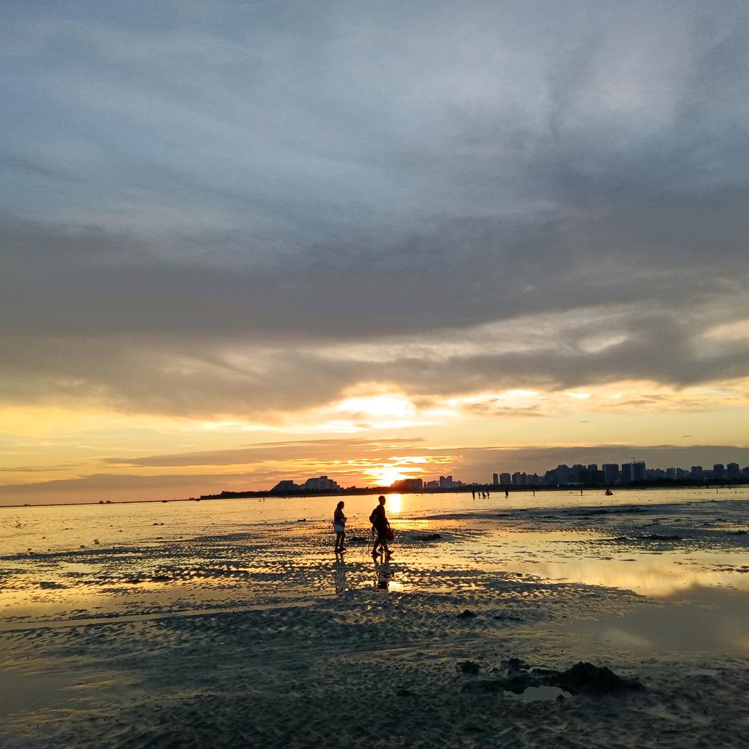 阳台上有一窝鸟