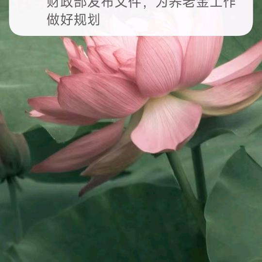 水英 首播下午2点半